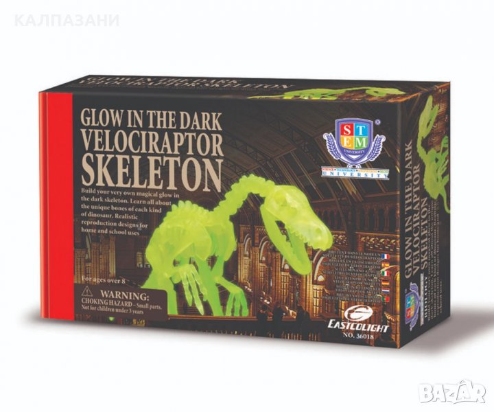 Eastcolight - Направи си сам: Скелет на Велосираптор 36018, снимка 1