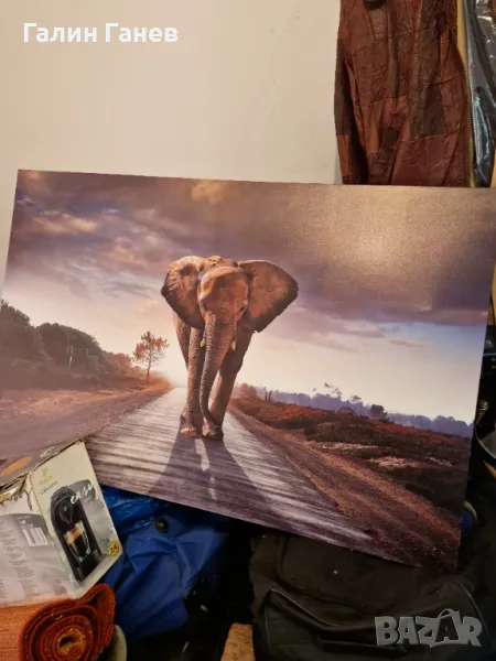 Картина Слонче размер 1.50/1.00, снимка 1