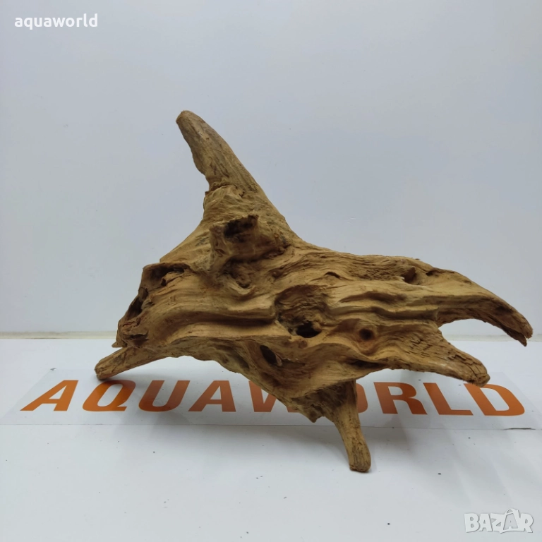 Африкански корен 9, снимка 1