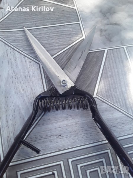 Овчарски ножици , снимка 1