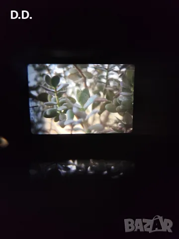 Mamiya NC1000s с обектив 50мм F1.7, снимка 9 - Обективи и филтри - 55715143