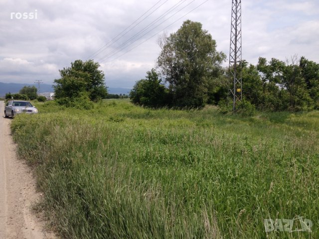 4330 кв.м. ПИ в Чепинци, ул. Чепинско шосе, Столична община