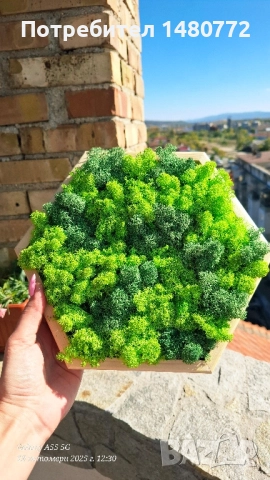 Пано шестоъгълник със скандинавски мъх , снимка 4 - Пана - 52117378