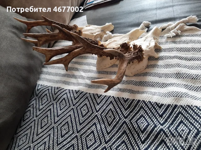красиви сръндаци, снимка 3 - Антикварни и старинни предмети - 55813938