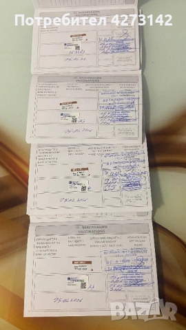 Кокер+ лагото, снимка 6 - Кокер шпаньол - 53256978