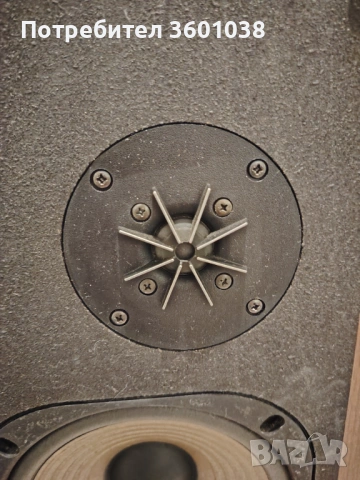 Pioneer. Cs. E421, снимка 7 - Тонколони - 53933501