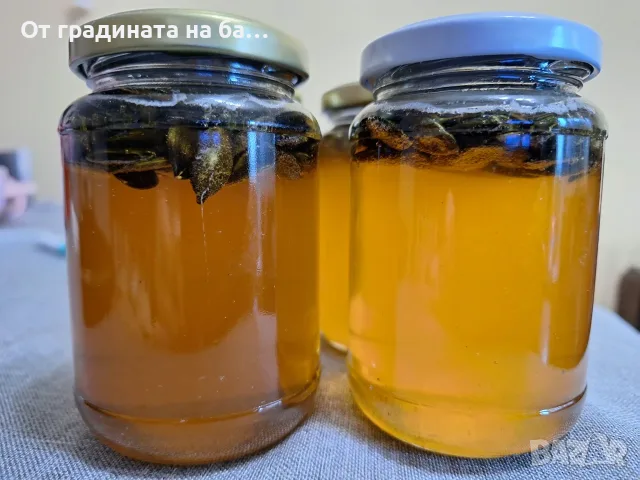 Пчелен мед с тиквени семки
