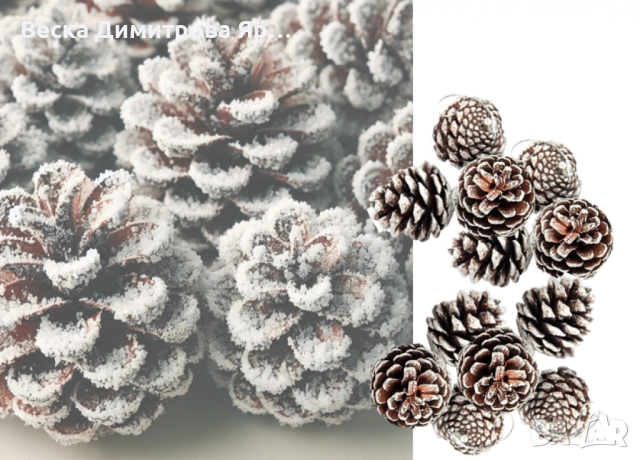 Комплект от 6 или 12 броя коледни шишарки, снимка 8 - Декорация за дома - 52301499