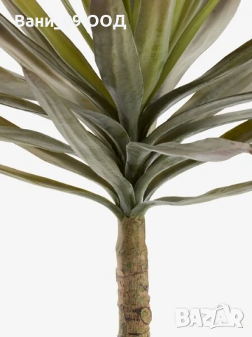 Изкуствена палма 75см, снимка 2 - Изкуствени цветя - 51158534