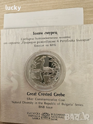 Сребърна монета Нестинарство , Голям гмурец, снимка 7 - Нумизматика и бонистика - 52419906