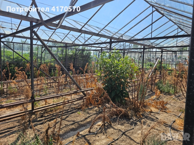 Продава се стъклена оранжерия, снимка 17 - Оранжерии - 51654998