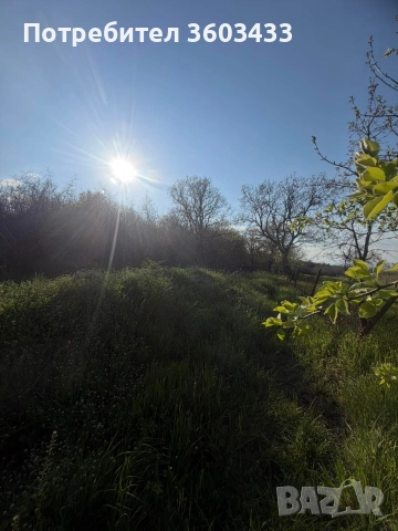 Продавам парцел, гора с панорамна гледка море. , снимка 5 - Парцели - 54286269