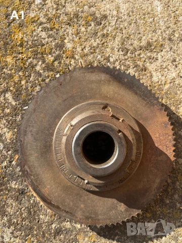 Глава и диск пиян /лъкатушещ/ циркуляр. 