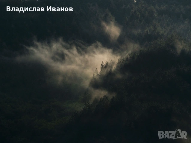 Професионален Фотограф: Сватби, Балове, Кръщенета и Събития, снимка 14 - Фотографи - 54191582
