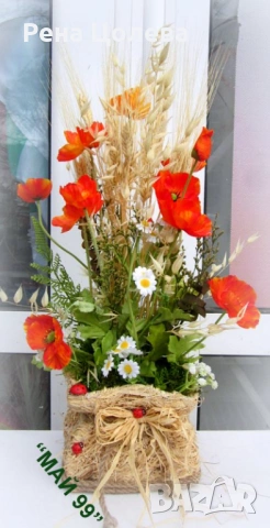 Оранжеви масове и житни класове