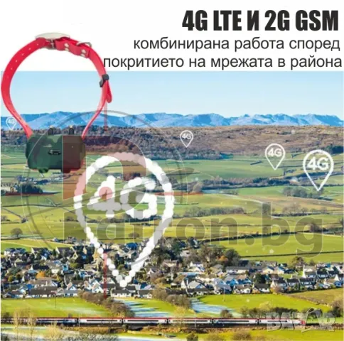 Gps за кучета , снимка 5 - За кучета - 48139475