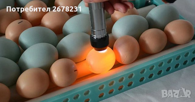 Тестер за яйца (Овоскоп) за инкубатор, снимка 3 - За птици - 30207542