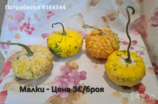 Естествени декоративни тикви