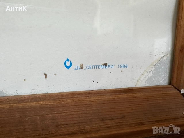 Голям Портрет на Тодор Живков, снимка 5 - Антикварни и старинни предмети - 51776881