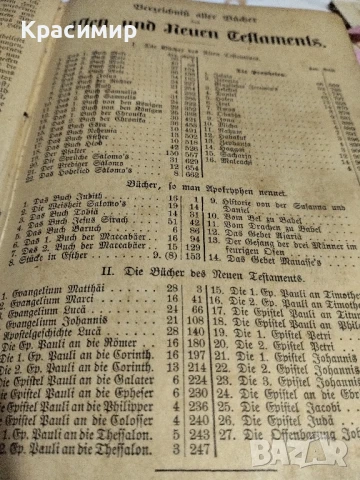 Библията на Лутер 1893 г., снимка 11 - Антикварни и старинни предмети - 51000438