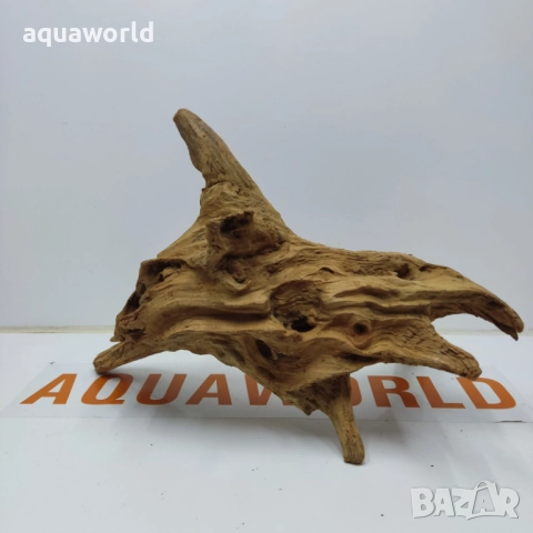 Африкански корен 9