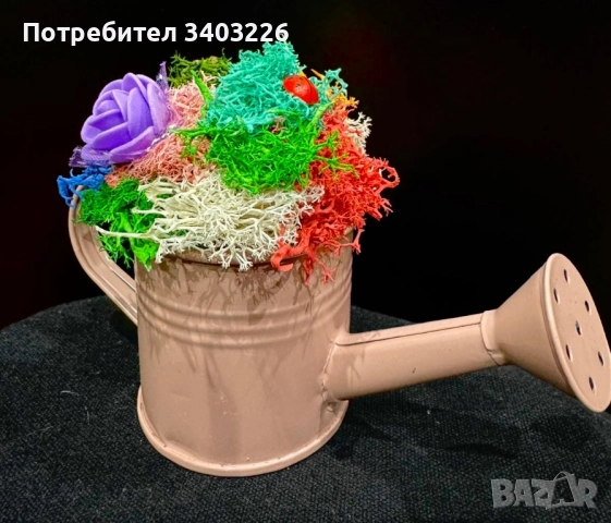 Аранжировки със скандинавски мъх, снимка 7 - Декорация за дома - 52953726