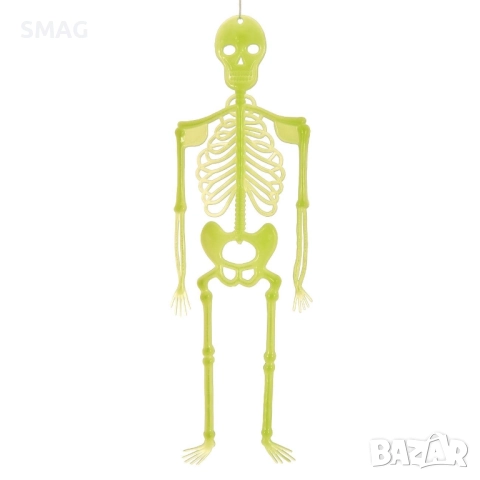 Halloween / Хелоуин фосфоресциращ скелет – 31см_1160445