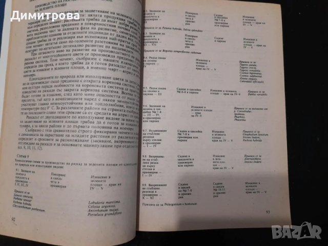 Книга Цветарство - Елена Щилянова, снимка 2 - Специализирана литература - 50689320