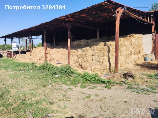 Бали сено, първи откос, реколта 2025, снимка 4 - За селскостопански - 53180973