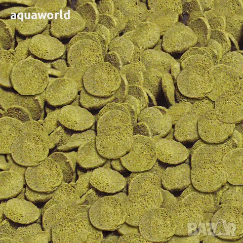 SERA Wels-Chips Nature ваферс за дънни рибки, снимка 2 - Оборудване за аквариуми - 49661393