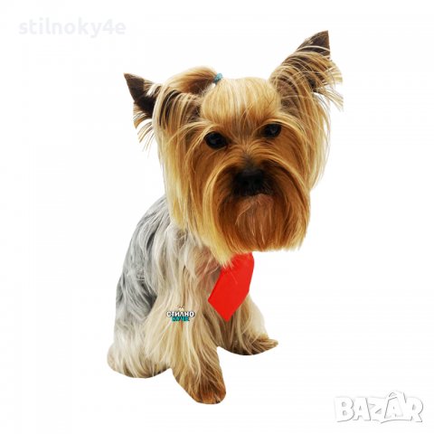 Вратовръзка за дребни, средни и едри породи кучета Кучешки вратовръзки Кучешка вратовръзка/папийонка, снимка 5 - За кучета - 32250633