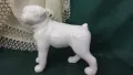 Порцеланово бяло куче 🐕, снимка 2