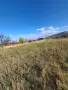 Парцел първенец, снимка 7