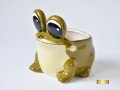 Керамична саксия - жаба / Подарък за нов дом / Керамична саксия с форма на жаба, снимка 9