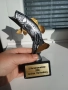 Награда за риболов статуетка, снимка 10