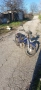 мотор .мотопед.мотопеди, снимка 9