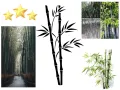 100 висококачествени семена Студоустойчив черен бамбук от САЩ за Декорация на дома и Градината , снимка 11