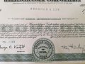 Сертификат за притежание на 100 акции (САЩ) | Harnischfeger Corporation | 1966г., снимка 5