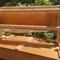 100% Чист пчелен мед от производител Горски букет!, снимка 9 - Пчелни продукти - 28929399