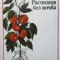Растения без почва Дмитрий Вахмистров, снимка 1 - Специализирана литература - 29123020