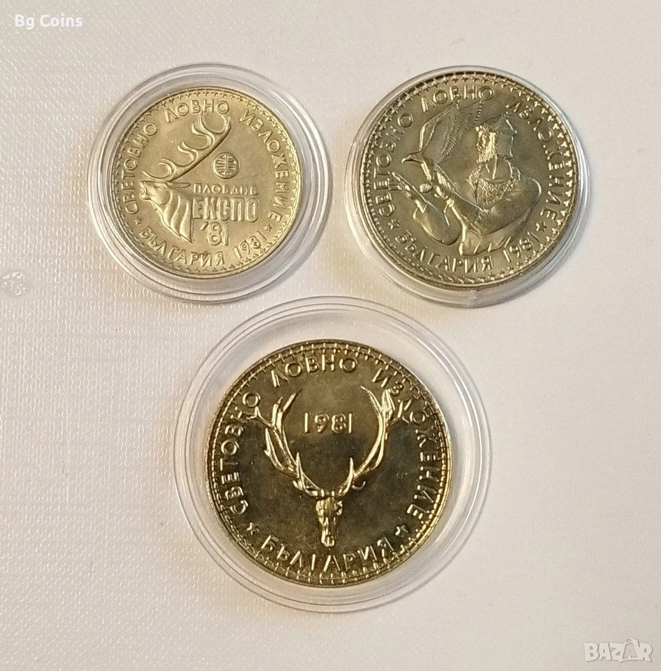 Лот 1981 Ловно изложение , снимка 1