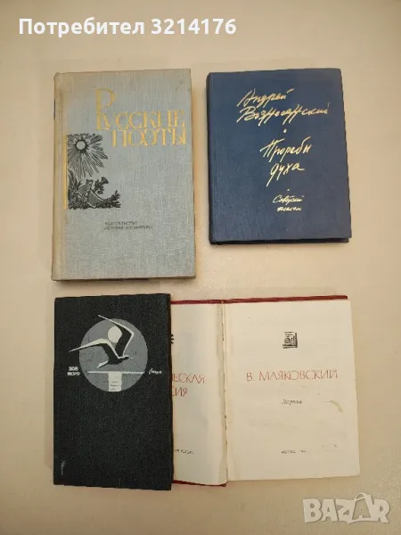 Прорабы духа - Андрей Вознесенский, снимка 1