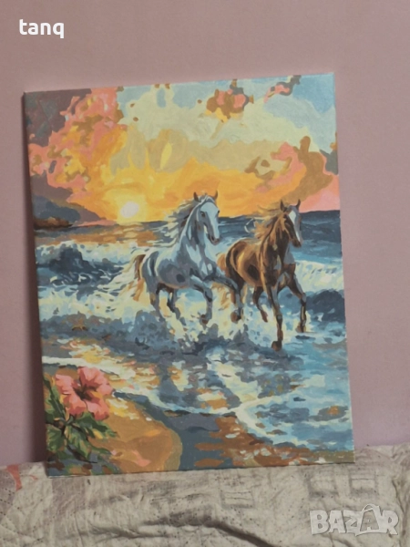 Ръчно рисувани картини по схема , снимка 1