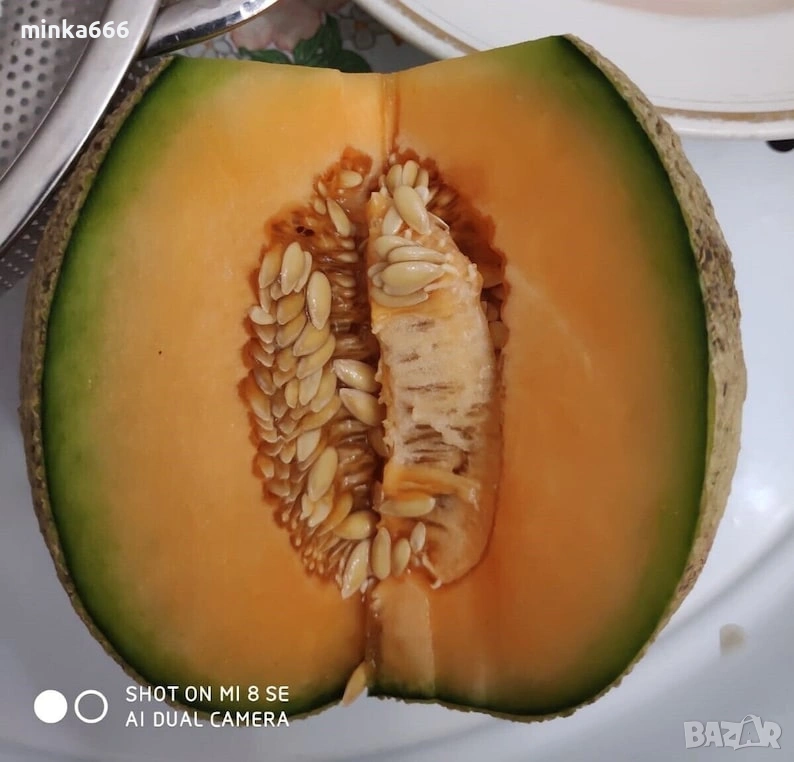 10бр.семена за пъпеш Юбари., снимка 1