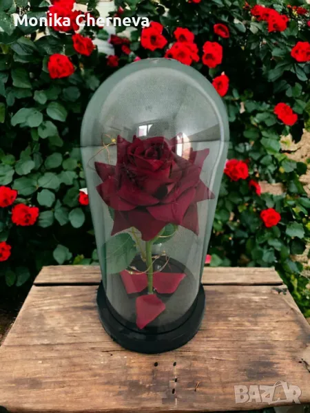 Красива осветена роза в стъкленица с красива подаръчна кутия, снимка 1