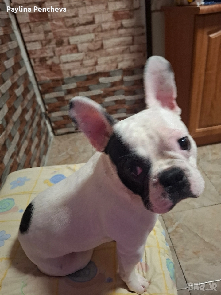 подарявам , снимка 1