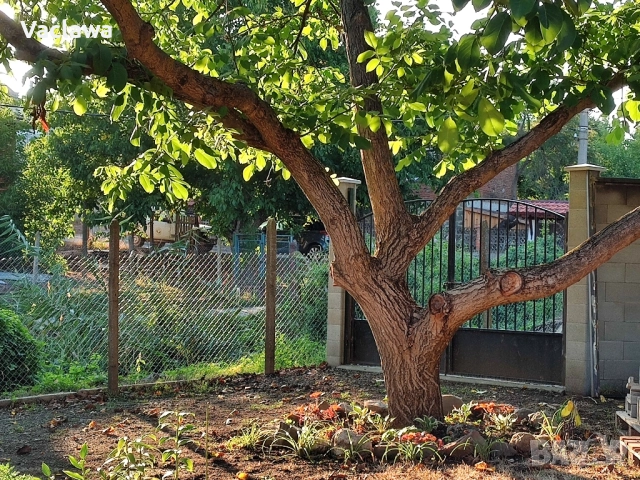 Собственикът продава къщата. На 18 км от гр. Приморско., снимка 10 - Къщи - 51416428