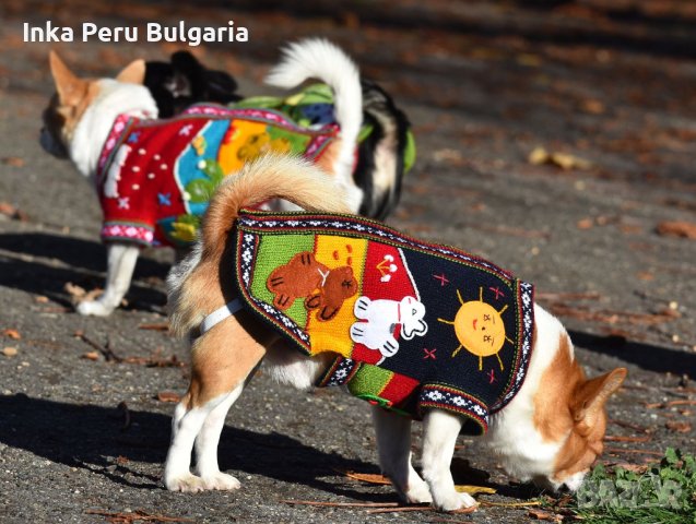 Ръчно бродирани перуански кучешки дрешки различни цветове и размери , снимка 14 - За кучета - 42821198