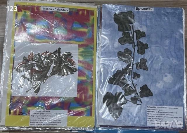 Хербарии, снимка 8 - Други услуги - 51619721