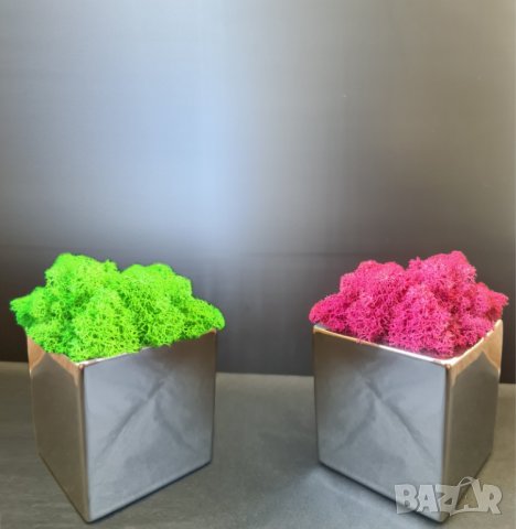 Картини със скандинавски мъх, снимка 18 - Картини - 35615877